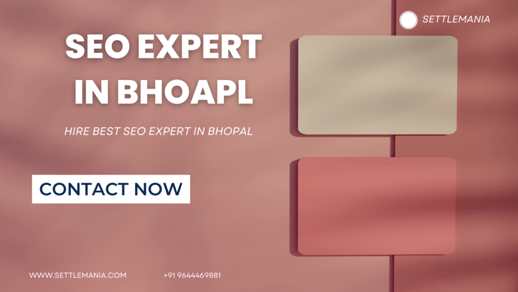 Freelance SEO expert In Bhopal
